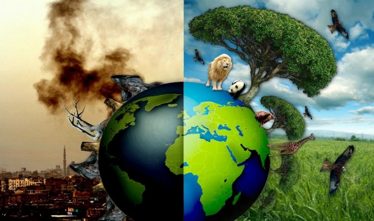 TEMA’dan geçen yıla ’çevresel’ bakış! 2023’ü öne çıkan iyi ve kötü çevre olayları...