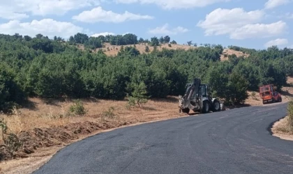 Hekimhan’da yol çalışmaları devam ediyor